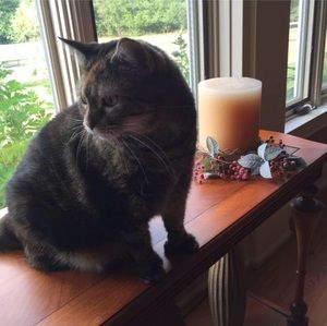 Meet your Posher, Pamela